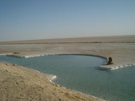 sel de mer dans le desert