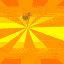 Passoires  الغربال